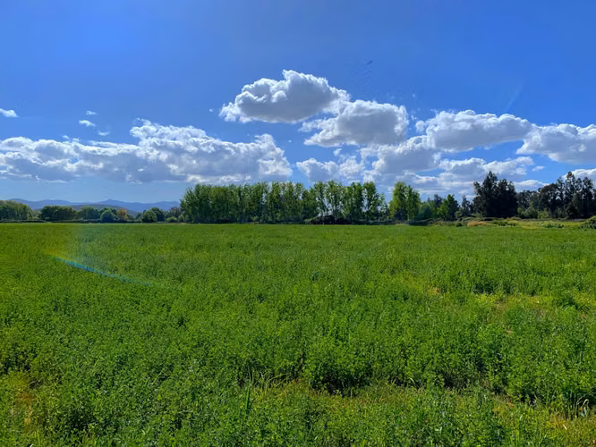 VENDE TERRENO 15,8 Ha  CON LUZ, AGUA, A PASOS DE AUTOPISTA - COLONIAS DE PAINE