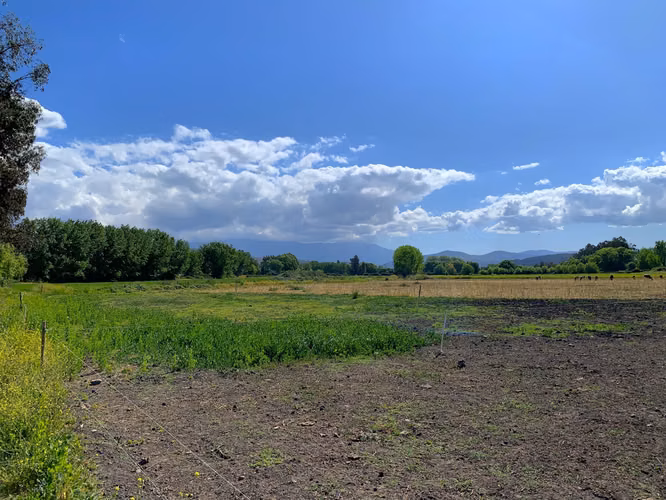 VENDE TERRENO 15,8 Ha  CON LUZ, AGUA, A PASOS DE AUTOPISTA - COLONIAS DE PAINE