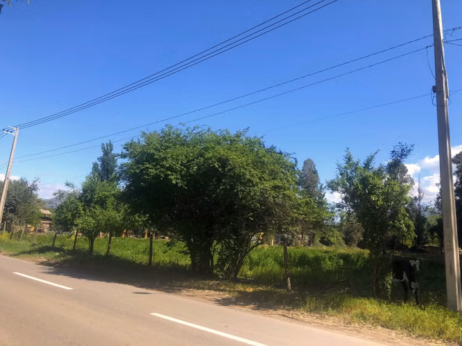 VENDE TERRENO 15,8 Ha  CON LUZ, AGUA, A PASOS DE AUTOPISTA - COLONIAS DE PAINE