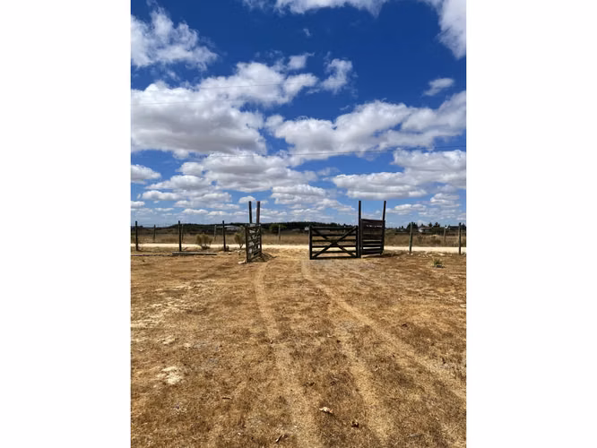 FULL OPORTUNIDAD EN LITUECHE!!! Parcela con casa amoblada en venta