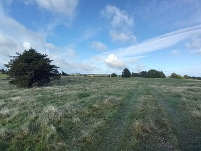 ÚLTIMAS PARCELAS EN BRISAS DE HUILLINCO - DOS CON ELECTRICIDAD - CHILOÉ