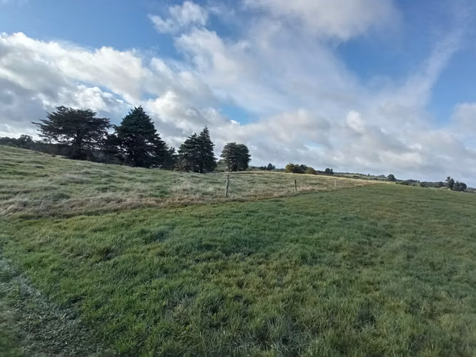 ÚLTIMAS PARCELAS EN BRISAS DE HUILLINCO - DOS CON ELECTRICIDAD - CHILOÉ