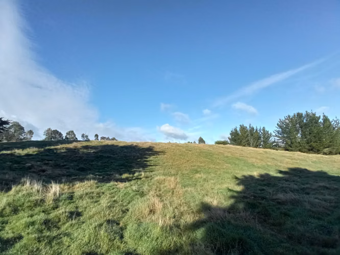 ÚLTIMAS PARCELAS EN BRISAS DE HUILLINCO - DOS CON ELECTRICIDAD - CHILOÉ