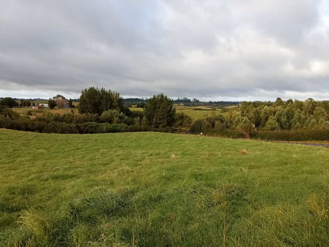 ÚLTIMAS PARCELAS EN BRISAS DE HUILLINCO - DOS CON ELECTRICIDAD - CHILOÉ