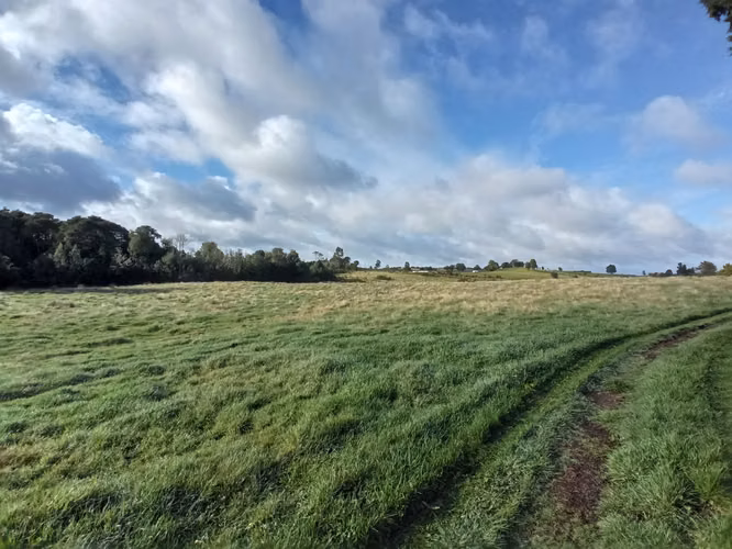 ÚLTIMAS PARCELAS EN BRISAS DE HUILLINCO - DOS CON ELECTRICIDAD - CHILOÉ
