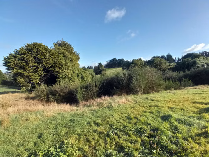 ÚLTIMAS PARCELAS EN BRISAS DE HUILLINCO - DOS CON ELECTRICIDAD - CHILOÉ