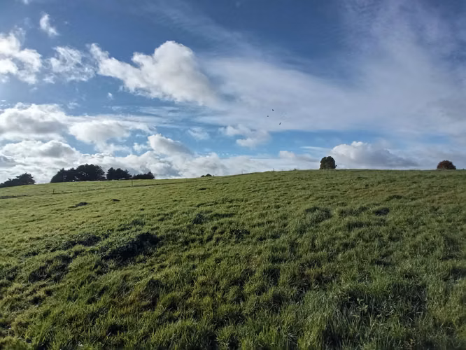 ÚLTIMAS PARCELAS EN BRISAS DE HUILLINCO - DOS CON ELECTRICIDAD - CHILOÉ