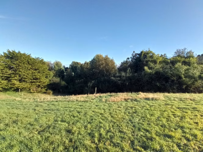 ÚLTIMAS PARCELAS EN BRISAS DE HUILLINCO - DOS CON ELECTRICIDAD - CHILOÉ