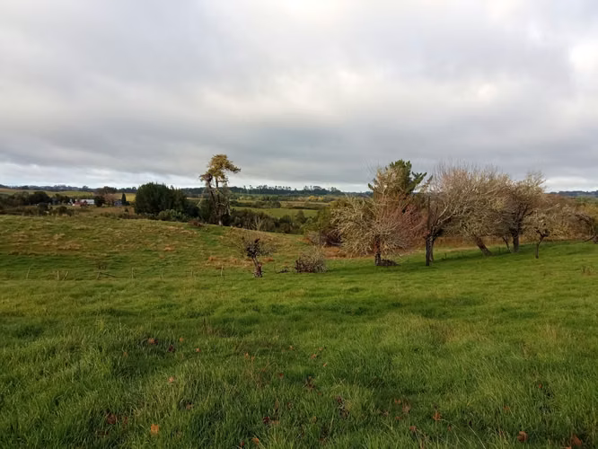 ÚLTIMAS PARCELAS EN BRISAS DE HUILLINCO - DOS CON ELECTRICIDAD - CHILOÉ