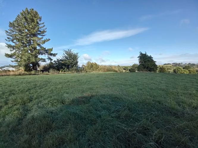 ÚLTIMAS PARCELAS EN BRISAS DE HUILLINCO - DOS CON ELECTRICIDAD - CHILOÉ