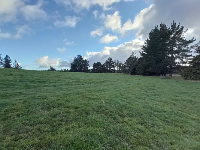 ÚLTIMAS PARCELAS EN BRISAS DE HUILLINCO - DOS CON ELECTRICIDAD - CHILOÉ