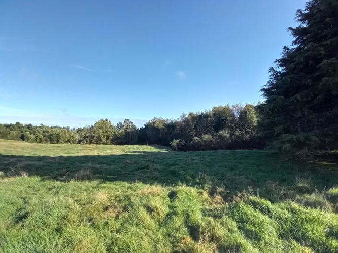 ÚLTIMAS PARCELAS EN BRISAS DE HUILLINCO - DOS CON ELECTRICIDAD - CHILOÉ