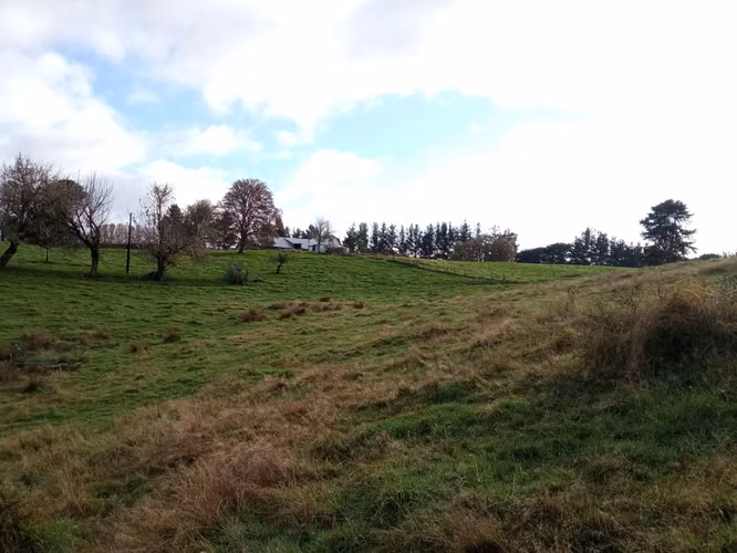 ÚLTIMAS PARCELAS EN BRISAS DE HUILLINCO - DOS CON ELECTRICIDAD - CHILOÉ