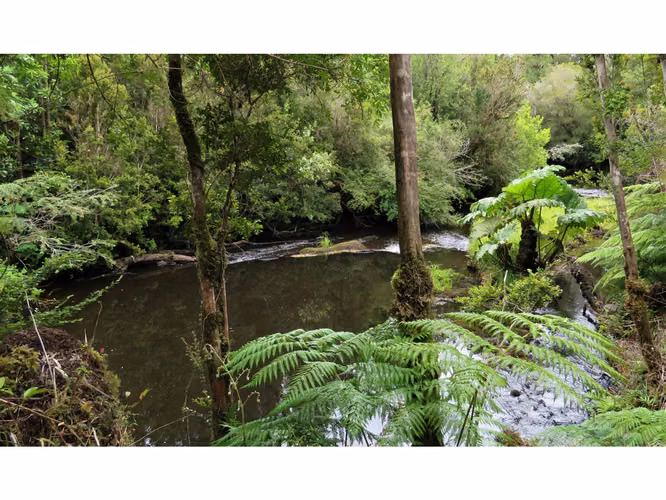 ÚLTIMOS 4 LOTES CON ELECTRICIDAD - VIVE EN VALLE DE AGUAS BUENAS - CHILOÉ