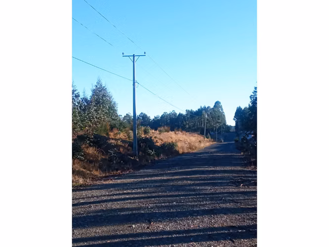 ÚLTIMOS 4 LOTES CON ELECTRICIDAD - VIVE EN VALLE DE AGUAS BUENAS - CHILOÉ