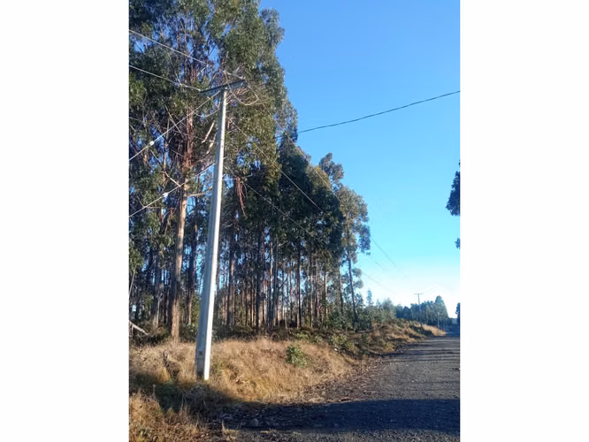 ÚLTIMOS 4 LOTES CON ELECTRICIDAD - VIVE EN VALLE DE AGUAS BUENAS - CHILOÉ