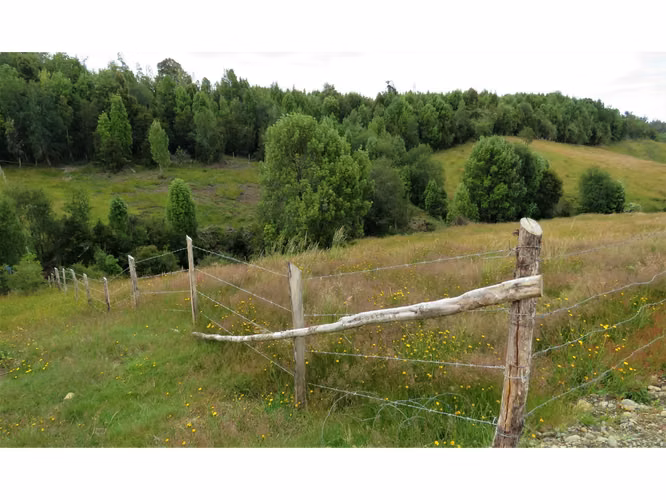 ÚLTIMOS 4 LOTES CON ELECTRICIDAD - VIVE EN VALLE DE AGUAS BUENAS - CHILOÉ