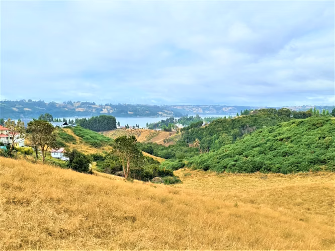 11,5 hectáreas con vista al mar en exclusivo sector urbano Lo Gamboa de Castro.