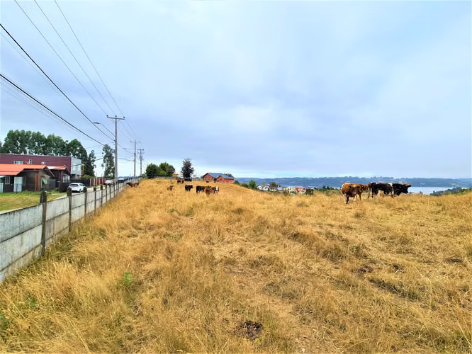 11,5 hectáreas con vista al mar en exclusivo sector urbano Lo Gamboa de Castro.