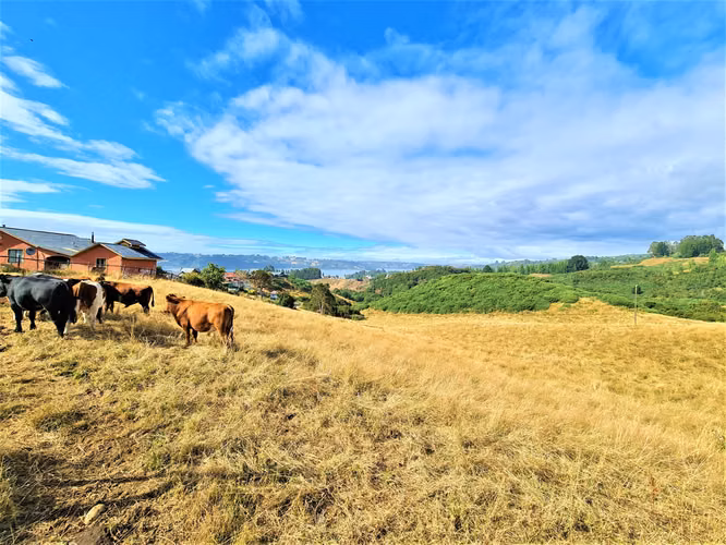 11,5 hectáreas con vista al mar en exclusivo sector urbano Lo Gamboa de Castro.