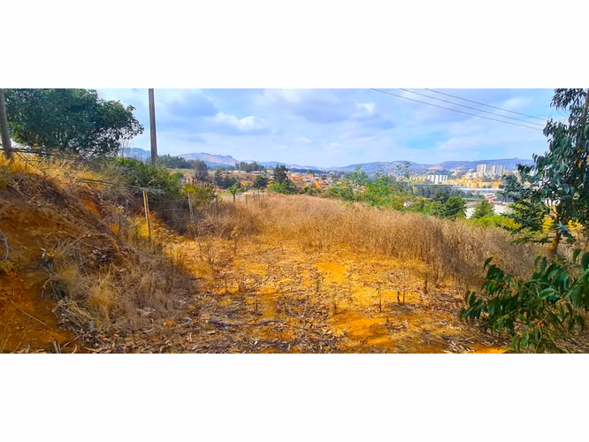 Espectacular Terreno De 10.000m² Hacienda Reñaca - Imagen 18