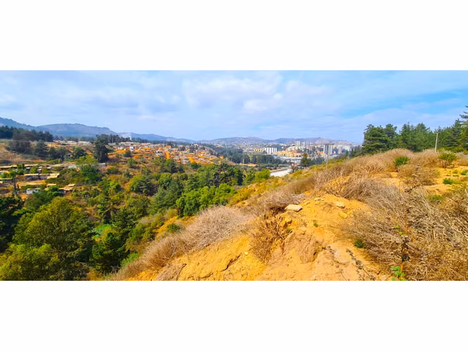 Espectacular Terreno De 10.000m² Hacienda Reñaca - Imagen 7