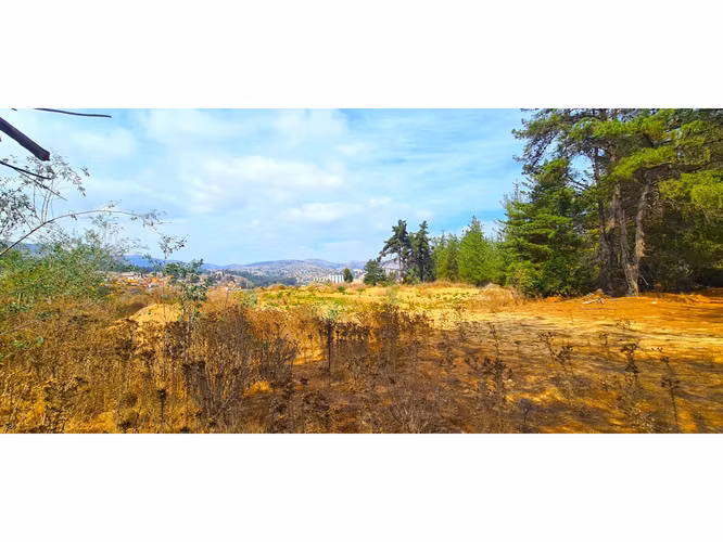 Espectacular Terreno De 10.000m² Hacienda Reñaca - Imagen 8