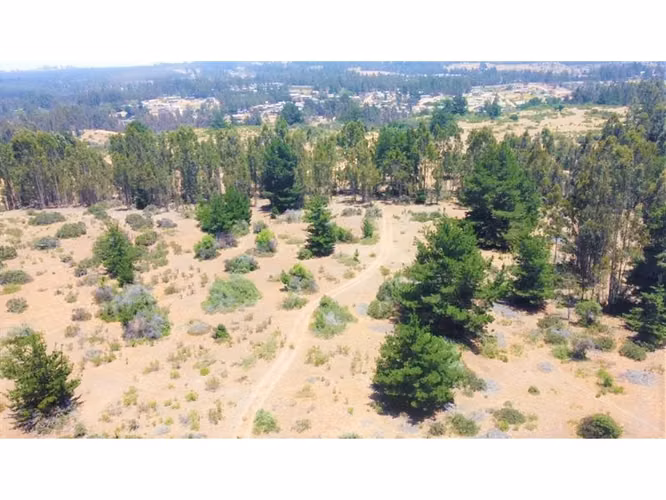 Gran terreno | 11 ha  En El Quisco