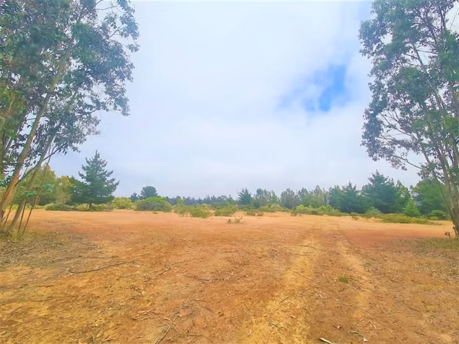 Gran terreno | 11 ha  En El Quisco