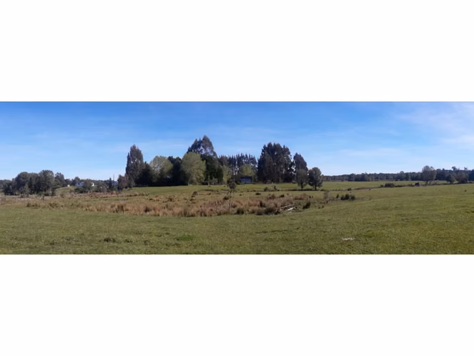Últimas Parcelas a la Venta en Valle los Canelos, Cercanas a Quemchi