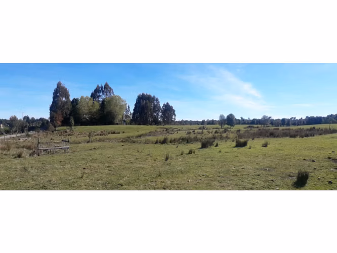 Últimas Parcelas a la Venta en Valle los Canelos, Cercanas a Quemchi