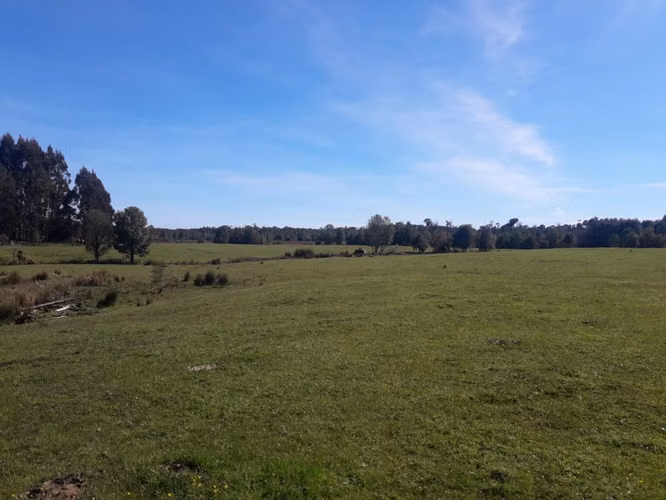 Últimas Parcelas a la Venta en Valle los Canelos, Cercanas a Quemchi