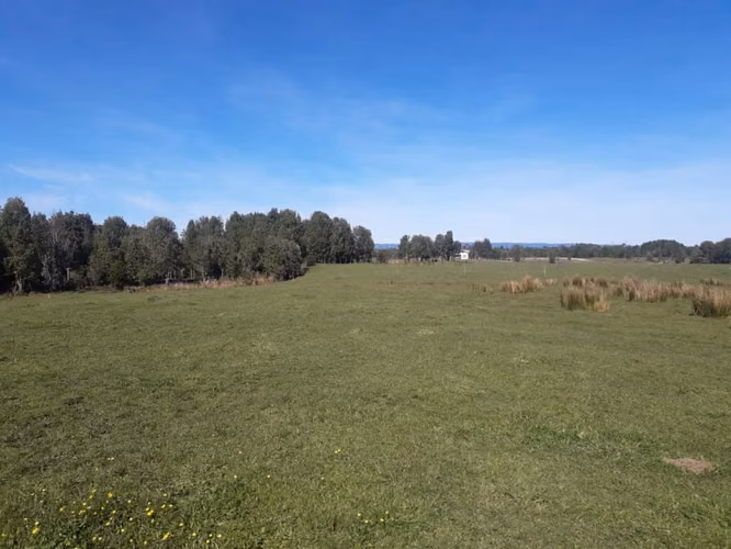 Últimas Parcelas a la Venta en Valle los Canelos, Cercanas a Quemchi