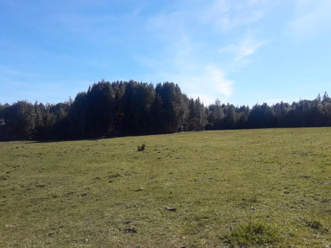 Últimas Parcelas a la Venta en Valle los Canelos, Cercanas a Quemchi