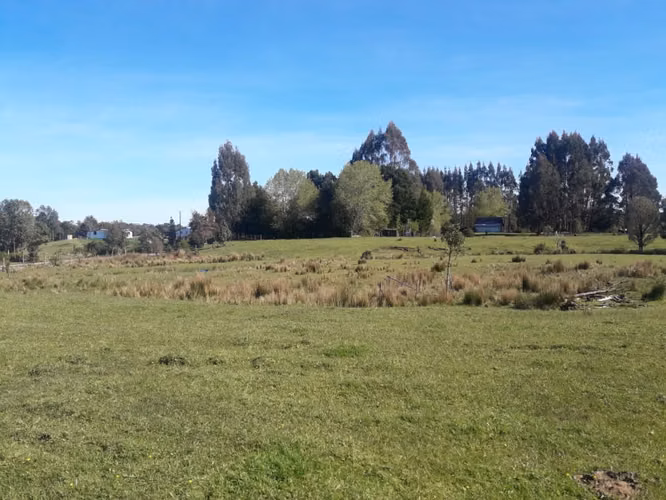 Últimas Parcelas a la Venta en Valle los Canelos, Cercanas a Quemchi