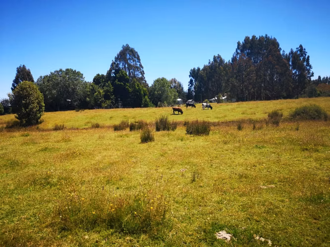 Últimas Parcelas a la Venta en Valle los Canelos, Cercanas a Quemchi