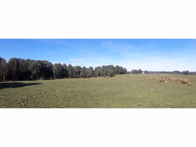 Últimas Parcelas a la Venta en Valle los Canelos, Cercanas a Quemchi