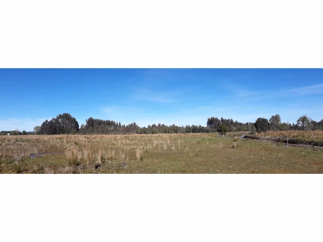 Últimas Parcelas a la Venta en Valle los Canelos, Cercanas a Quemchi