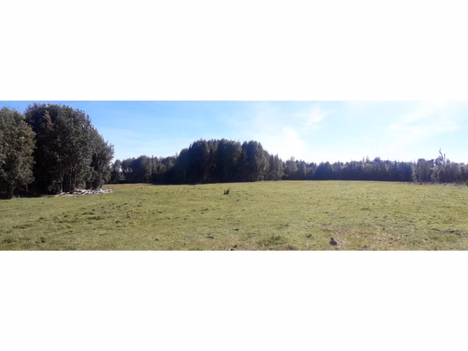 Últimas Parcelas a la Venta en Valle los Canelos, Cercanas a Quemchi
