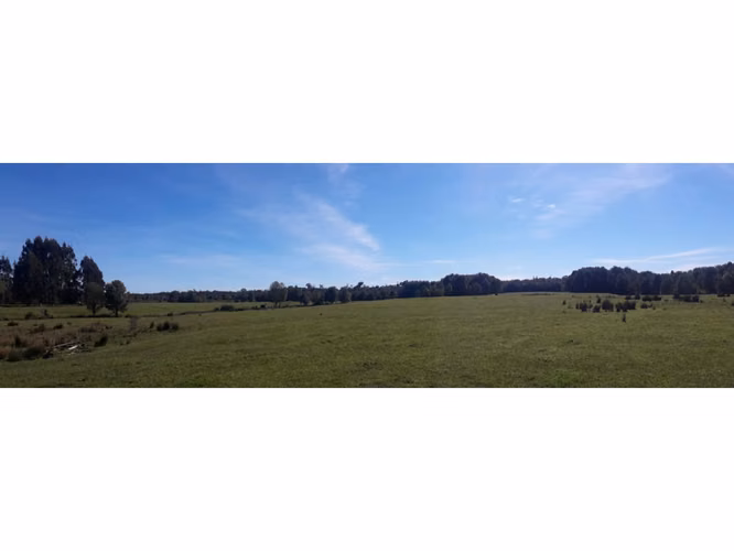 Últimas Parcelas a la Venta en Valle los Canelos, Cercanas a Quemchi