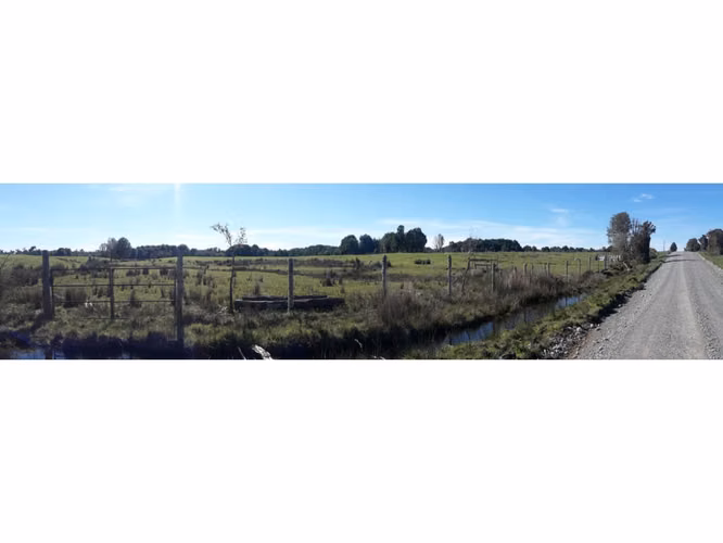 Últimas Parcelas a la Venta en Valle los Canelos, Cercanas a Quemchi