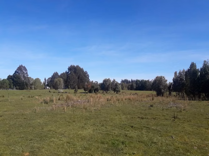 Últimas Parcelas a la Venta en Valle los Canelos, Cercanas a Quemchi