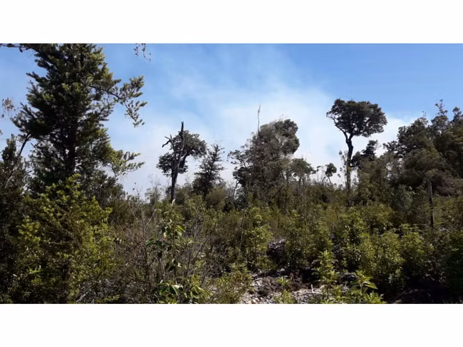 Últimas Parcelas a la Venta en Valle los Canelos, Cercanas a Quemchi