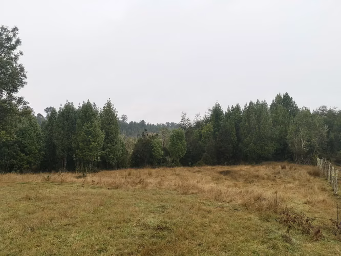 ¡Últimos 3 lotes con electricidad en Costa Los Navegantes, Chiloé