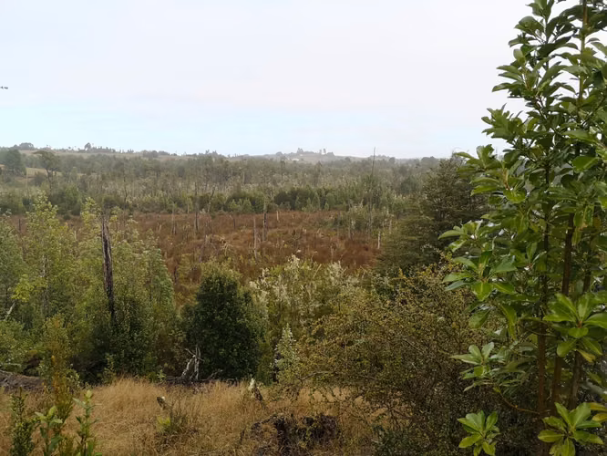 ¡Últimos 3 lotes con electricidad en Costa Los Navegantes, Chiloé