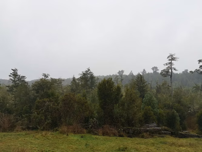 ¡Últimos 3 lotes con electricidad en Costa Los Navegantes, Chiloé