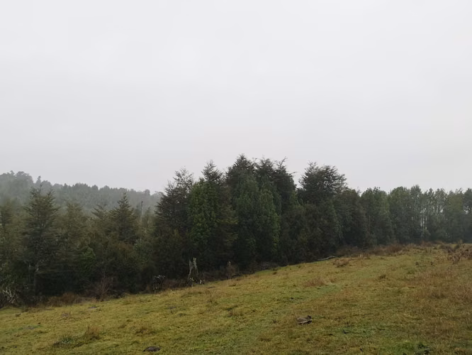 ¡Últimos 3 lotes con electricidad en Costa Los Navegantes, Chiloé