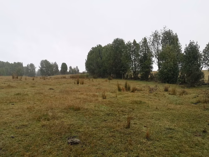 ¡Últimos 3 lotes con electricidad en Costa Los Navegantes, Chiloé