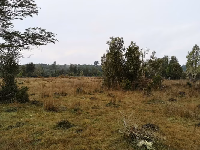 ¡Últimos 3 lotes con electricidad en Costa Los Navegantes, Chiloé