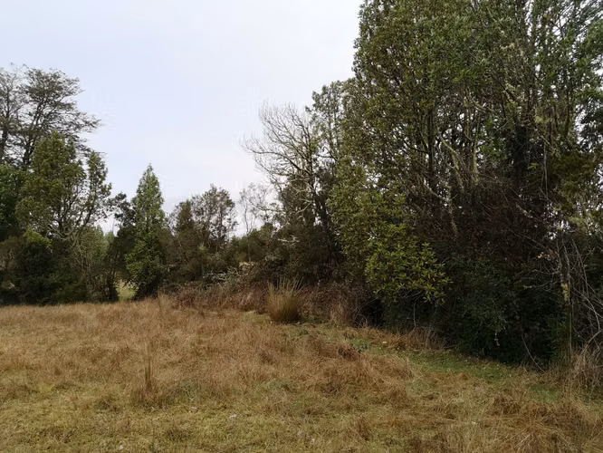 ¡Últimos 3 lotes con electricidad en Costa Los Navegantes, Chiloé